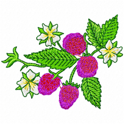Raspberry Embroidery Design 6 Raspberry Embroidery Design 6